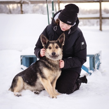 Собаки в добрые руки - Коржик