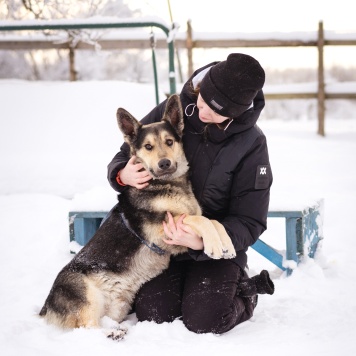 Собаки в добрые руки - Коржик - 4