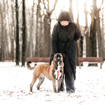 Собаки в добрые руки - Тина - 2