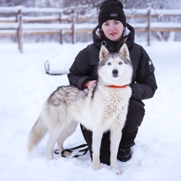 Собаки в добрые руки - Арья