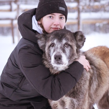 Собаки в добрые руки - Лира