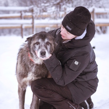Собаки в добрые руки - Лира - 3