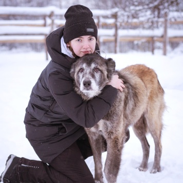 Собаки в добрые руки - Лира - 4