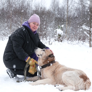 Собаки в добрые руки - Шани - 4