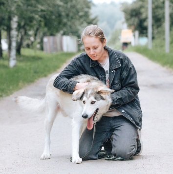 Собаки в добрые руки - Ярик - 4