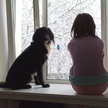 Собаки в добрые руки - Ричард - 1