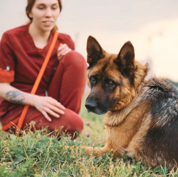 Собаки в добрые руки - Земфира - 2