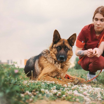 Собаки в добрые руки - Земфира - 4