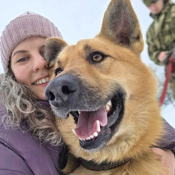 Собаки в добрые руки - Майор - 1