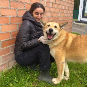Собаки в добрые руки - Большунов