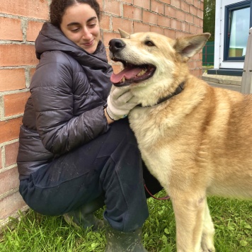 Собаки в добрые руки - Большунов - 2