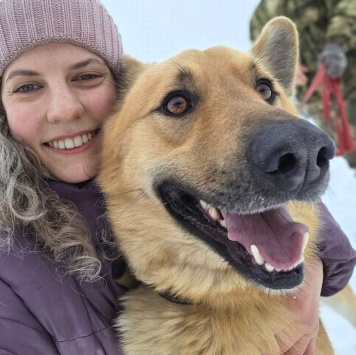 Собаки в добрые руки - Майор - 2