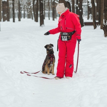 Собаки в добрые руки - Анита - 2
