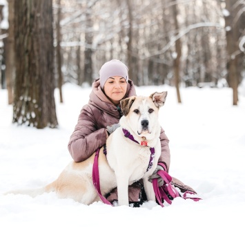 Собаки в добрые руки - Брут - 2