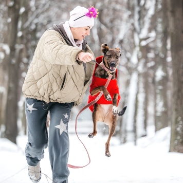 Собаки в добрые руки - Стася - 2