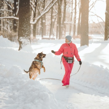 Собаки в добрые руки - Марик - 3