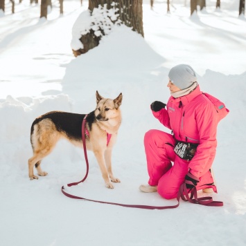 Собаки в добрые руки - Пеппи - 2