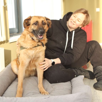 Собаки в добрые руки - Родман