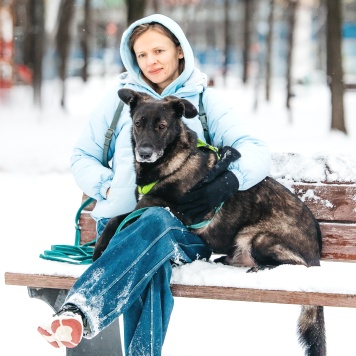 Собаки в добрые руки - Дали - 4