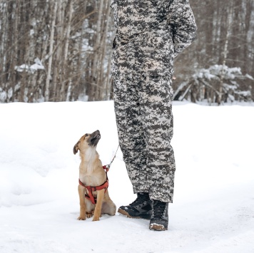 Собаки в добрые руки - Щенок - 1