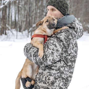 Собаки в добрые руки - Щенок - 3