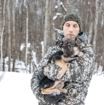Собаки в добрые руки - Клайд - 2