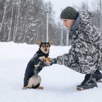 Собаки в добрые руки - Мышка - 1