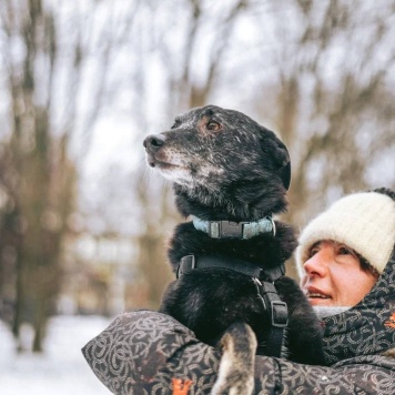 Собаки в добрые руки - Чарли - 4