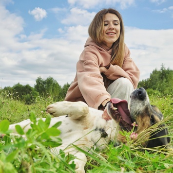 Собаки в добрые руки - Мирон - 4