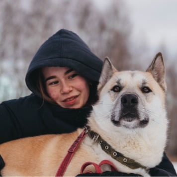 Собаки в добрые руки - Грей - 1