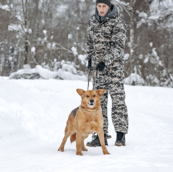 Собаки в добрые руки - Марсель - 4