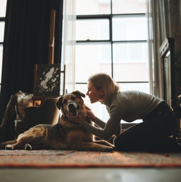 Собаки в добрые руки - Броша - 3