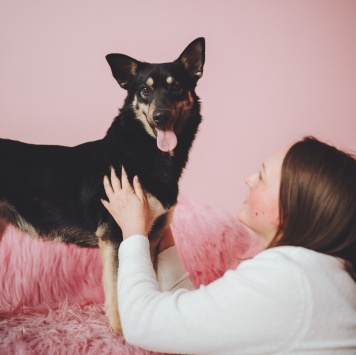 Собаки в добрые руки - Нуара - 3