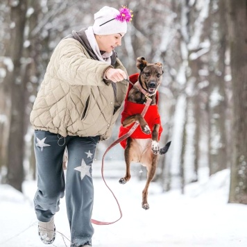 Собаки в добрые руки - Стася - 3