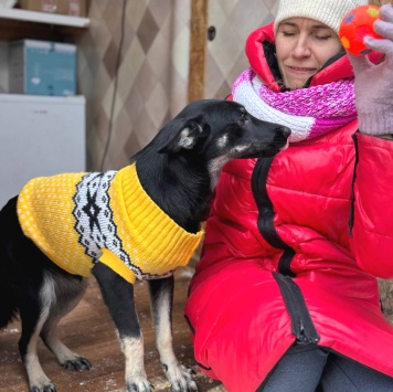 Собаки в добрые руки - Таранка - 1