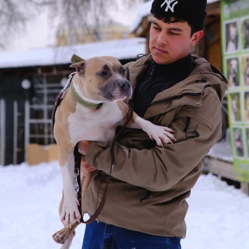 Собаки в добрые руки - Никуся - 4