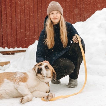 Собаки в добрые руки - Глория - 4