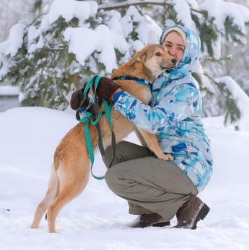 Собаки в добрые руки - Кавказ - 2