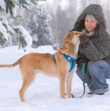 Собаки в добрые руки - Кавказ - 4