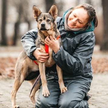 Собаки в добрые руки - Булочка - 2