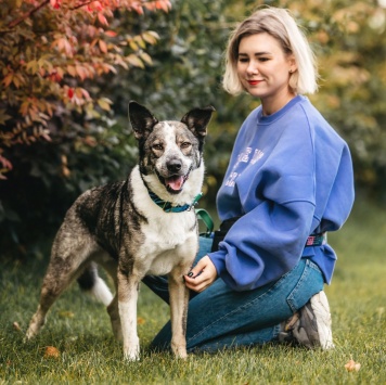 Собаки в добрые руки - Джаз - 3