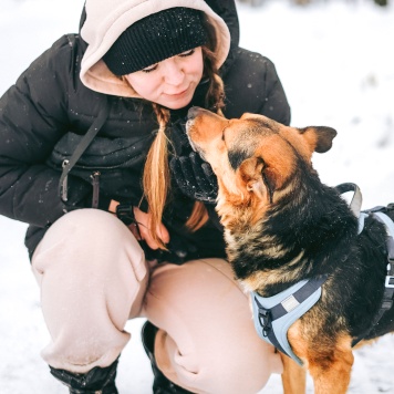 Собаки в добрые руки - Шурик - 2