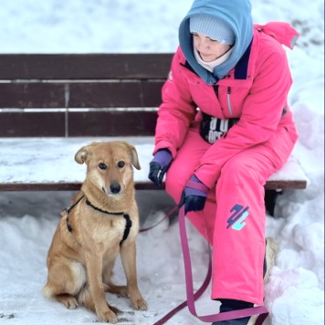 Собаки в добрые руки - Фаня - 2
