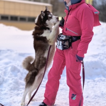 Собаки в добрые руки - Атлас - 3
