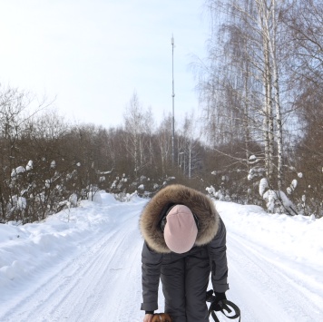 Собаки в добрые руки - Максик - 2