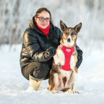 Собаки в добрые руки - Фрося