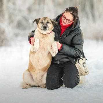 Собаки в добрые руки - Юта - 1