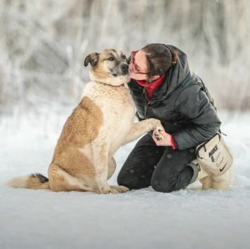 Собаки в добрые руки - Юта - 2