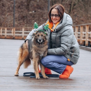 Собаки в добрые руки - Мия - 2