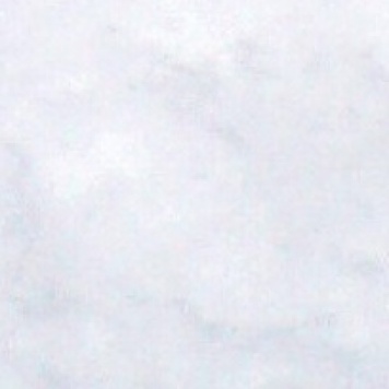 Собаки в добрые руки - Манго - 4